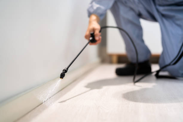 Licensed Rodent Control service in South San Francisco, CA - Nex Pest Control