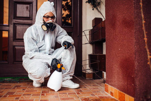 Reliable Rodent Control contractor in South San Francisco, CA by Nex Pest Control