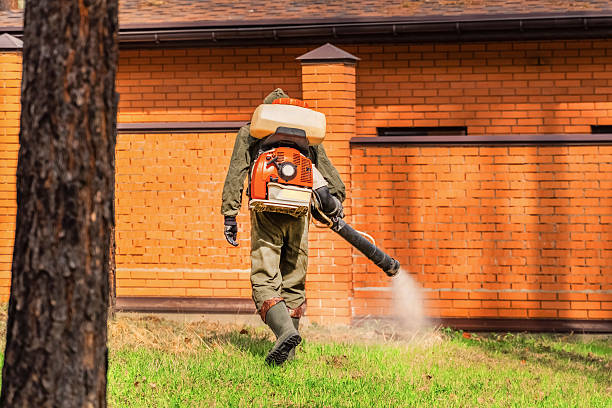 Trusted Mosquito Control service in South San Francisco, CA - Nex Pest Control